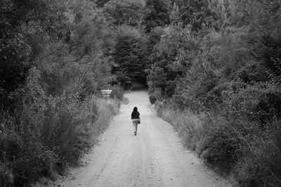 Rear view of woman walking towards forest
