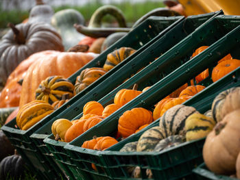 Close-up of pumpkins for sale at market stall