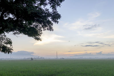 Scenic view of field against sky during sunset