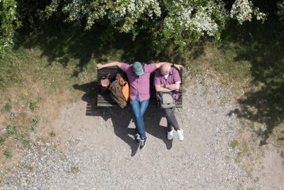 High angle view of friends sitting on bench against trees