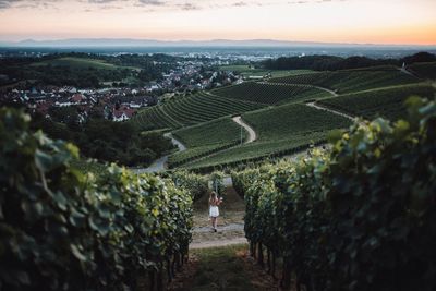 Woman standing at vineyard against sky