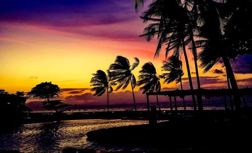 Silhouette of palm trees at sunset