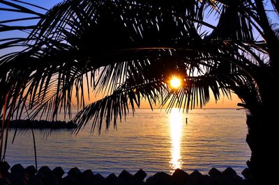 Silhouette palm trees at beach during sunset