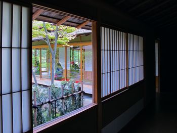 Potted plants in window of building