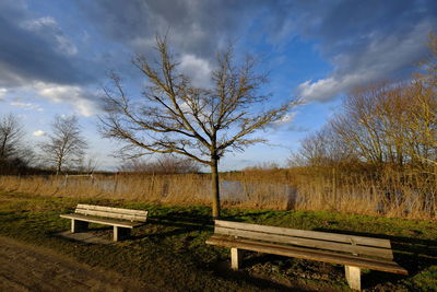Bench by trees on field against sky