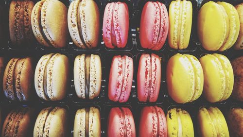 Close-up of multi colored macaroons in tray