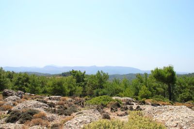 Scenic view of landscape against clear sky