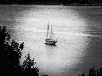 Sailboat sailing in sea