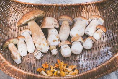 High angle view of mushrooms in basket