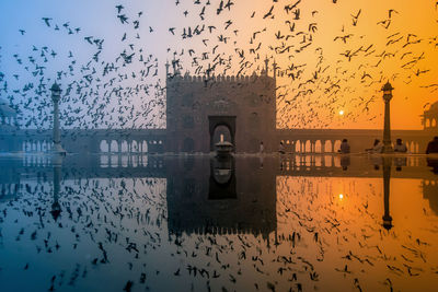 Reflection of building in water