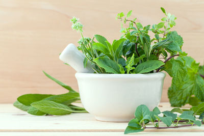 Close-up of herbs in mortar and pestle on table