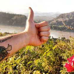 Close-up of man hand reaching towards plants