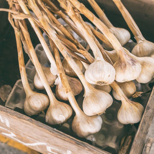 Close-up of onions in market stall
