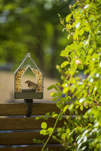 Close-up of birdhouse on tree