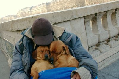 Homeless man with dogs on footpath