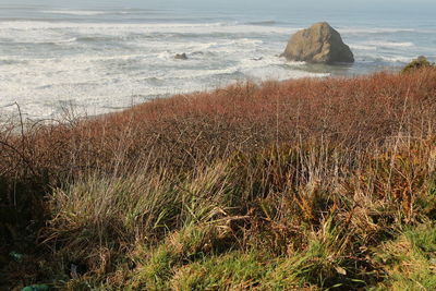 High angle view of beach