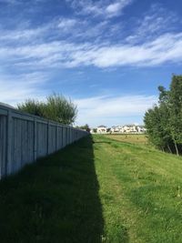 Trees on field against cloudy sky