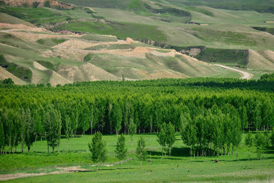 Qiongkushtai is a small kazakh village located in the isolated valley of the tianshan mountains.