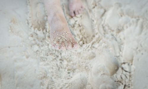 Low section of person on sand