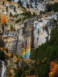 Scenic view of waterfall in forest