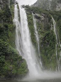 Low angle view of waterfall in forest