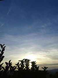 Low angle view of silhouette palm trees against sky at sunset