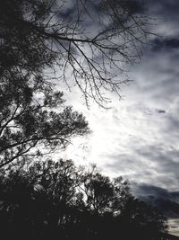 Low angle view of silhouette trees against sky