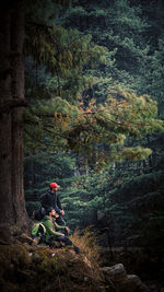 Person on rock in forest