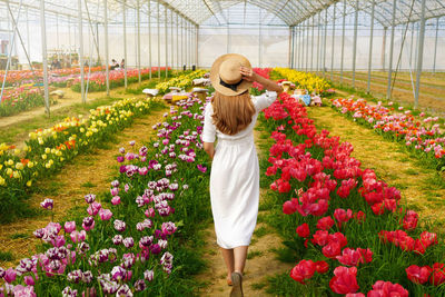 Beautiful girl with white dress and straw hat walking between colorful tulips on springtime