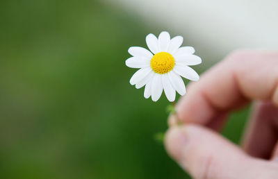 Woman holding white flower