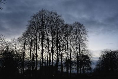 Low angle view of silhouette bare trees against sky at sunset