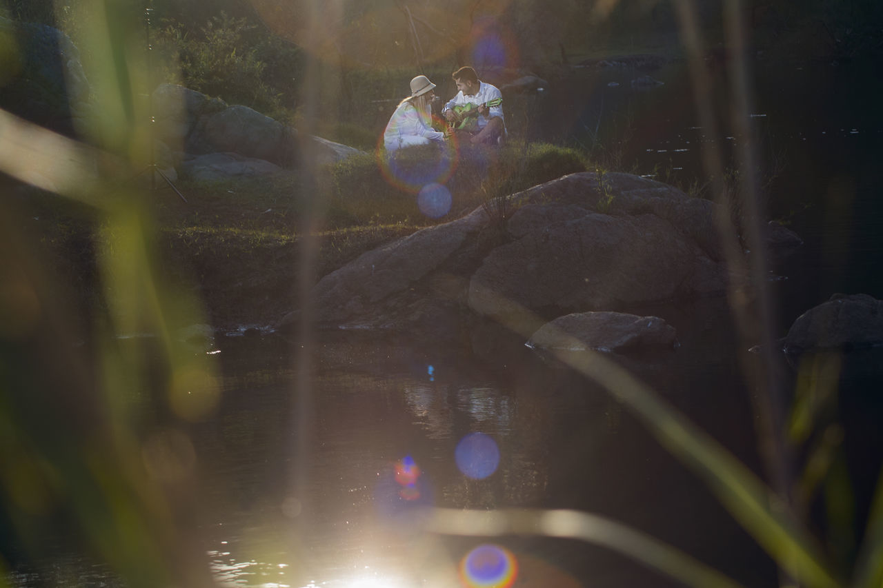 VIEW OF TURTLE IN WATER