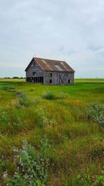 House on field against sky