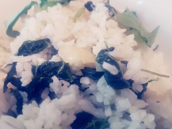 High angle view of chopped vegetables in plate