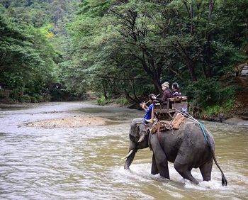 Man riding woman sitting on riverbank