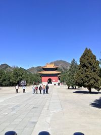 View of trees on mountain against clear sky