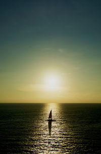 Silhouette person by sea against sky during sunset