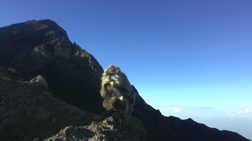 Rock formations on mountain against clear blue sky