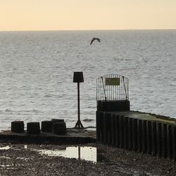 Seagull flying over sea against sky