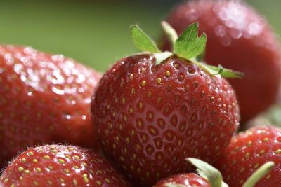 Close-up of strawberries