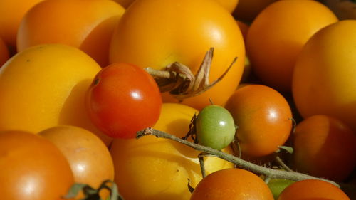 Full frame shot of tomatoes 