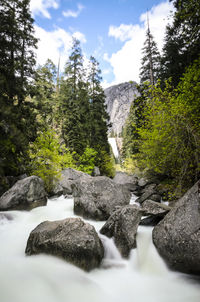 Stream flowing through rocks in forest against sky