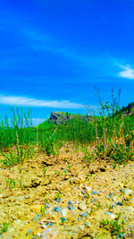 Surface level of land against blue sky