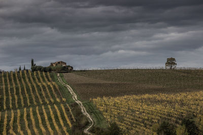 Panoramic shot of agricultural field against sky