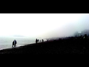 People standing in park