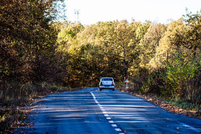 Road amidst plants and trees