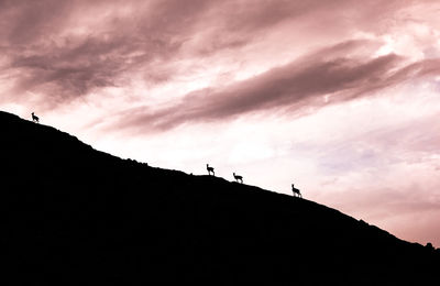 Silhouette animals on mountain against sky