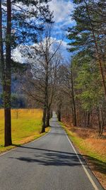 Road amidst trees against sky