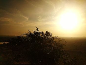 Scenic view of landscape at sunset