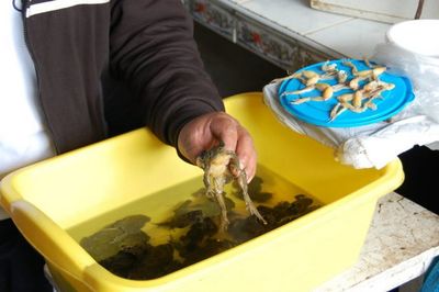 Close-up of cropped food